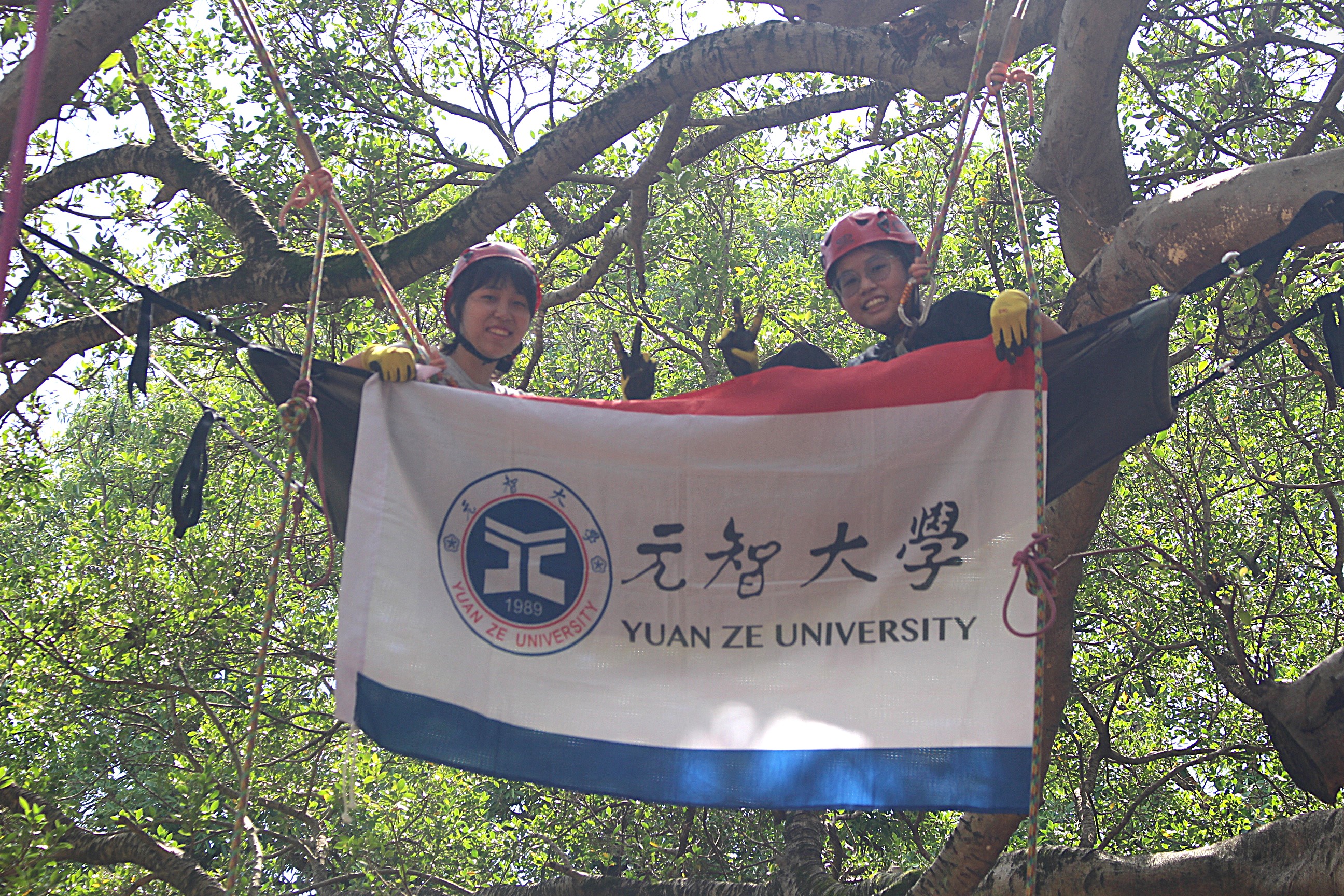換個高度看校園！元智攀樹課程帶學生探索樹冠世界